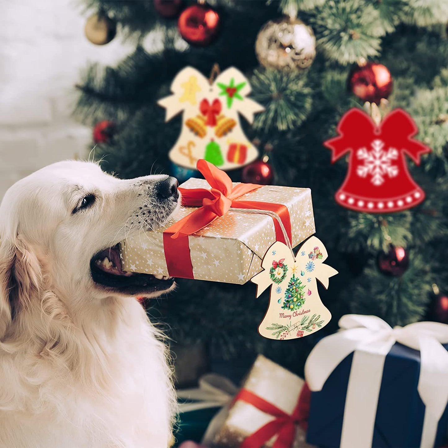 20-piece Christmas Ornament Set